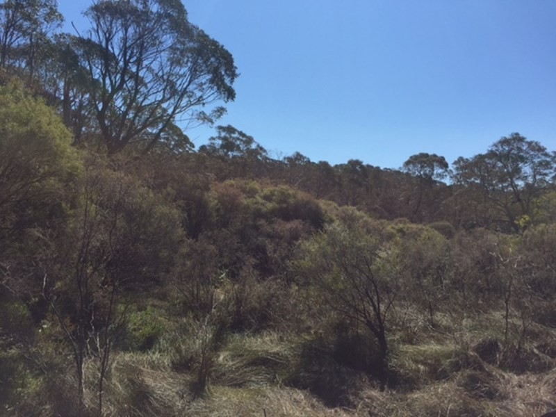 18 Third Street, Blackheath NSW 2785