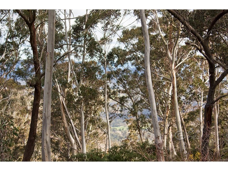 163 Victoria Street, Mount Victoria NSW 2786