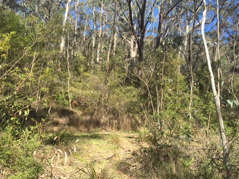 11 Victoria Street, Mount Victoria NSW 2786