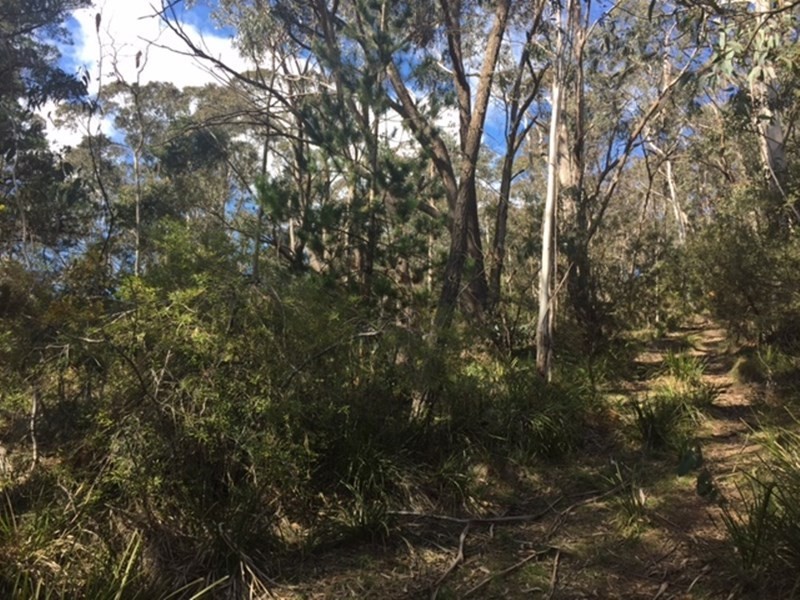 11 Victoria Street, Mount Victoria NSW 2786