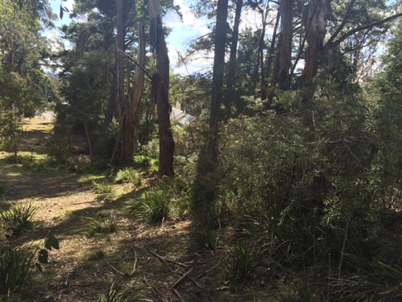 11 Victoria Street, Mount Victoria NSW 2786