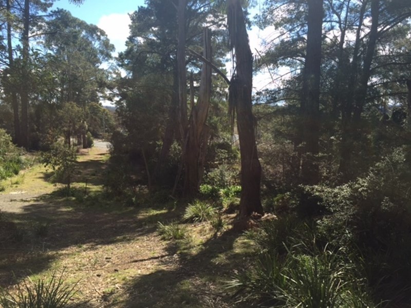 11 Victoria Street, Mount Victoria NSW 2786