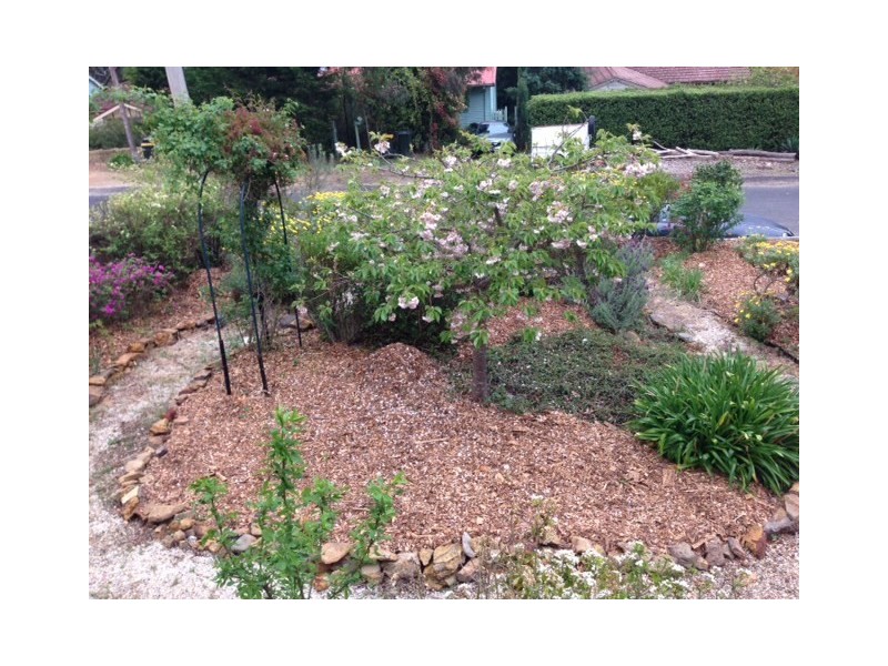 85 Godson Avenue, Blackheath NSW 2785