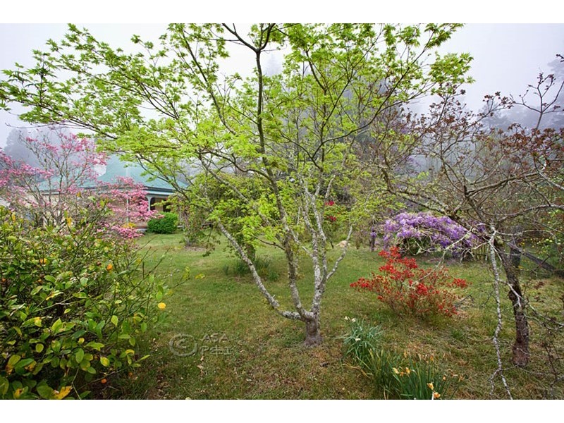 173-177 Hat Hill Road, Blackheath NSW 2785