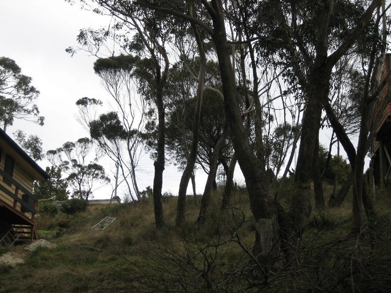 161 Great Western Highway, Blackheath NSW 2785