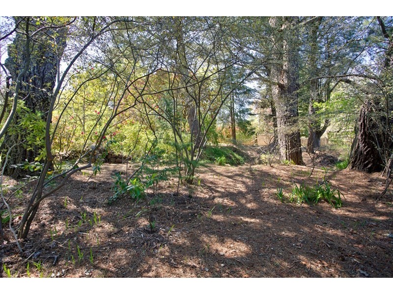 17 Inconstant Street, Blackheath NSW 2785