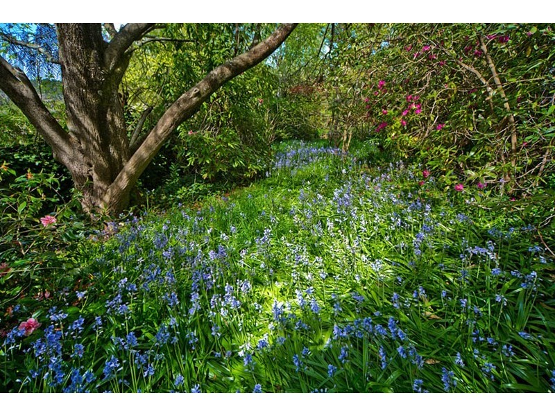 5-7 Shillington Street, Blackheath NSW 2785