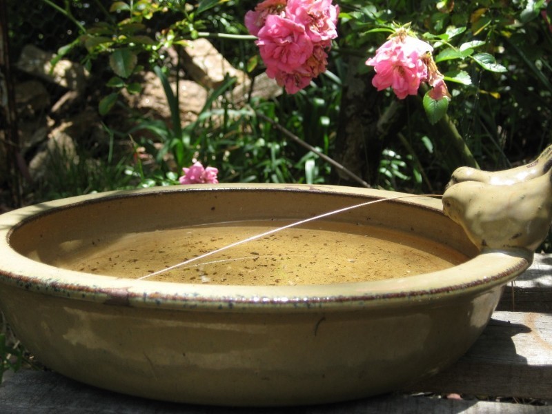 Medlow Bath NSW 2780