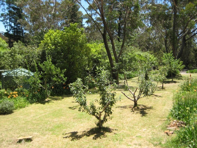 Medlow Bath NSW 2780