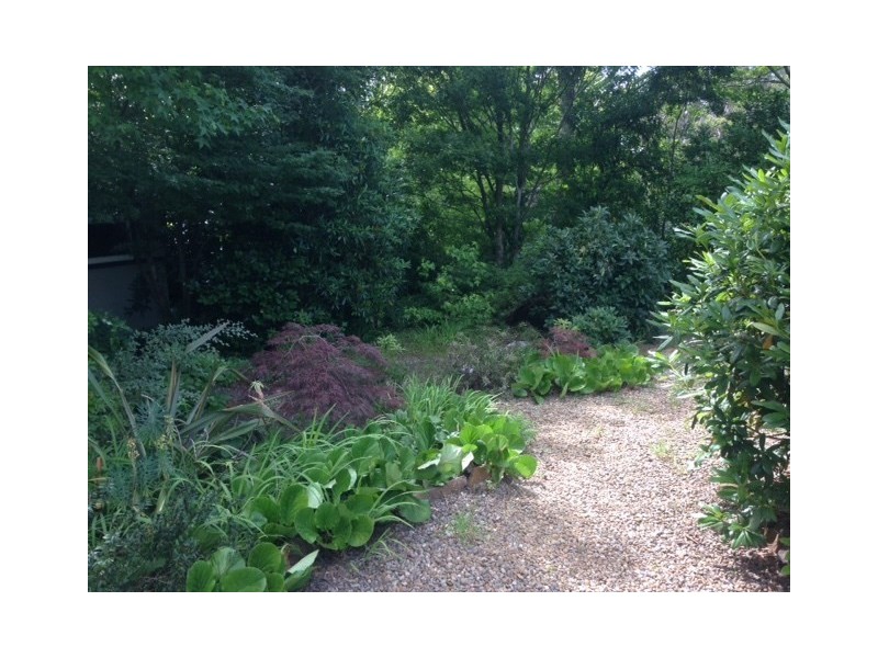 14 Heath Street, Blackheath NSW 2785