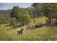 53 Bonnie Blink Drive, Little Hartley NSW 2790