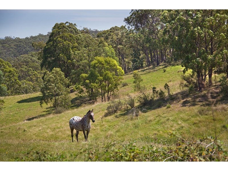 53 Bonnie Blink Drive, Little Hartley NSW 2790