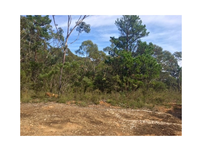 252 Hat Hill Road, Blackheath NSW 2785