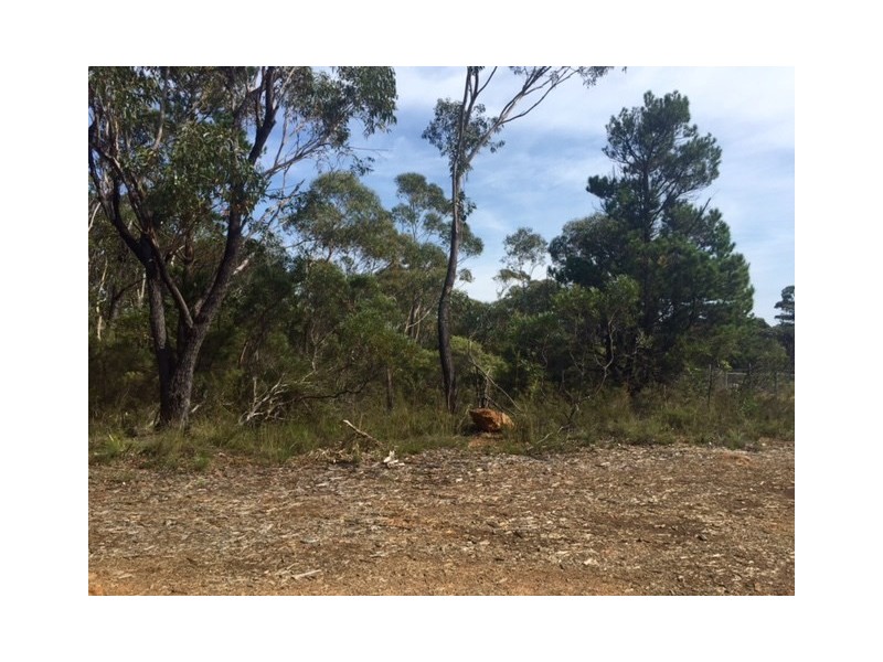 252 Hat Hill Road, Blackheath NSW 2785