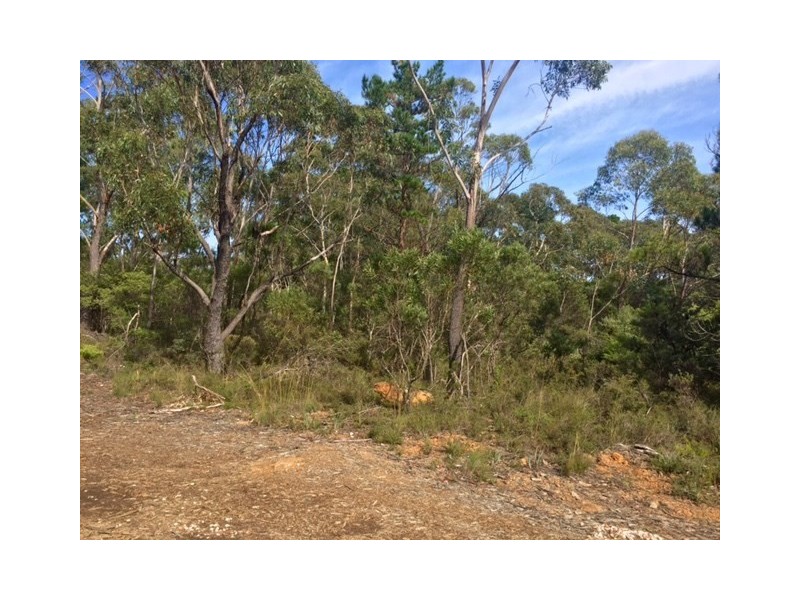 252 Hat Hill Road, Blackheath NSW 2785