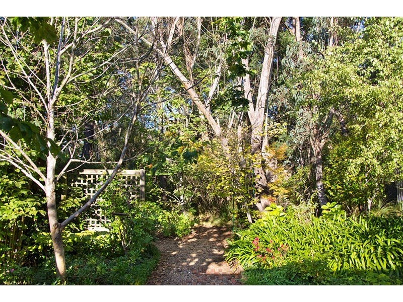 7 St Andrews Avenue, Blackheath NSW 2785