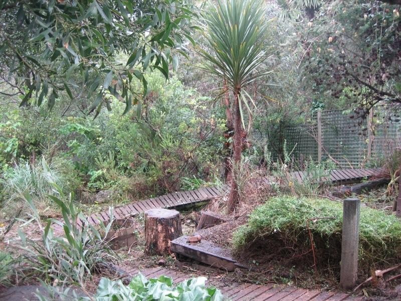 8 Harrison Street, Blackheath NSW 2785