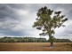Lot 3 Bruwalin Place, Hartley NSW 2790