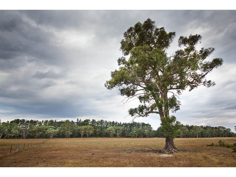 Lot 3 Bruwalin Place, Hartley NSW 2790