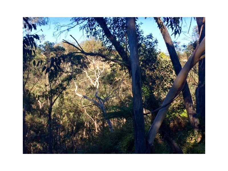 18-26 Wentworth Street, Mount Victoria NSW 2786