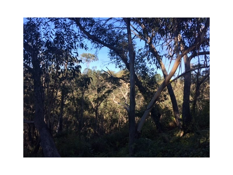 18-26 Wentworth Street, Mount Victoria NSW 2786