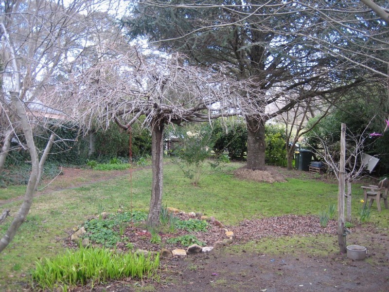 Mount Victoria NSW 2786