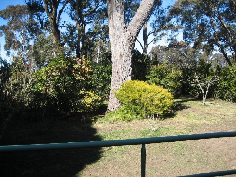 Blackheath NSW 2785