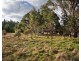 1161 Browns Gap Road, Little Hartley NSW 2790