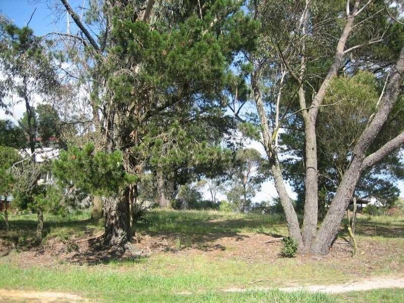 Lot 5, 97 Great Western Highway, Mount Victoria NSW 2786