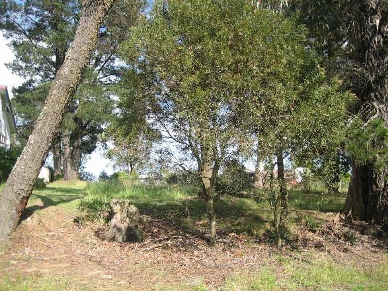 Lot 5, 97 Great Western Highway, Mount Victoria NSW 2786