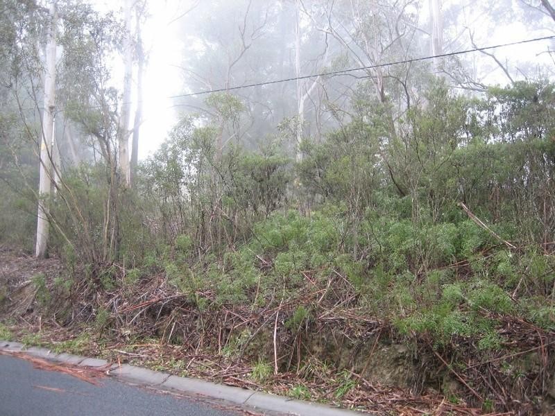 135 Victoria Street, Mount Victoria NSW 2786