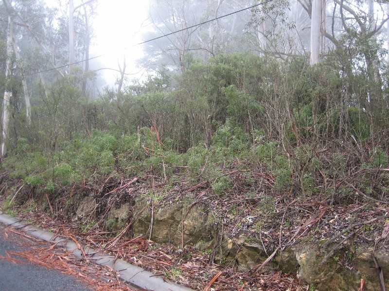 135 Victoria Street, Mount Victoria NSW 2786