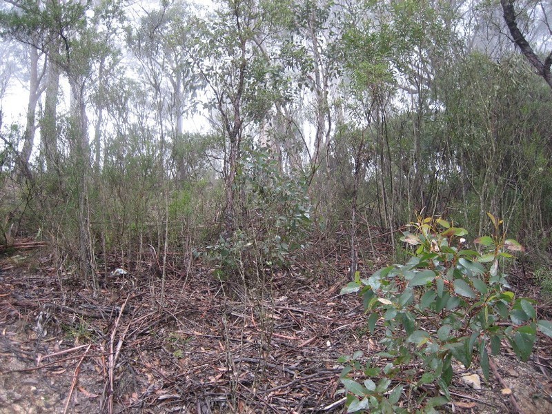 135 Victoria Street, Mount Victoria NSW 2786