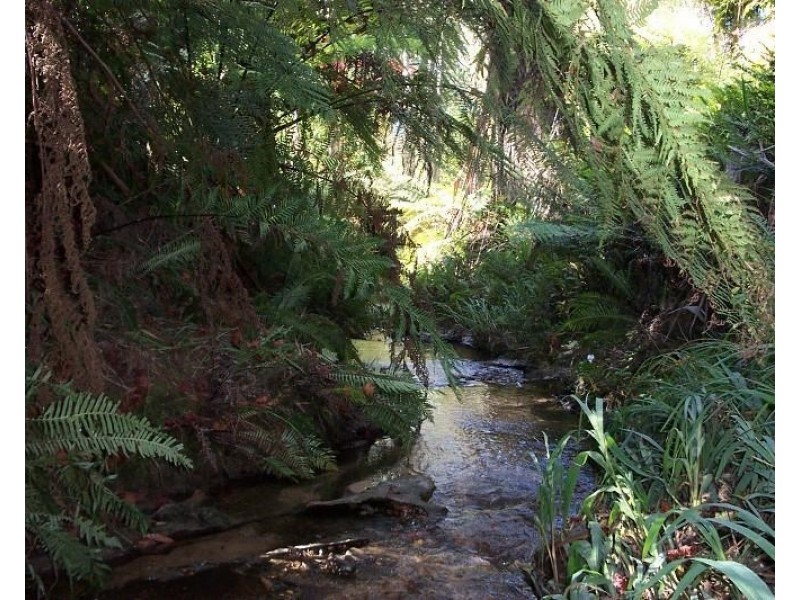 66 Mount Street, Leura NSW 2780