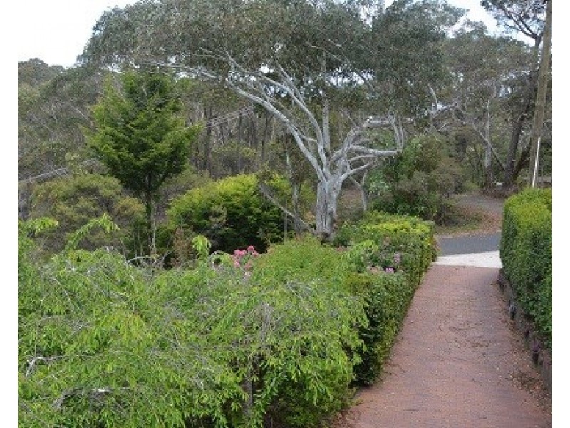 4 Minyago Street, Blackheath NSW 2785