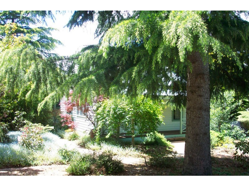 12 Grose Street, Blackheath NSW 2785