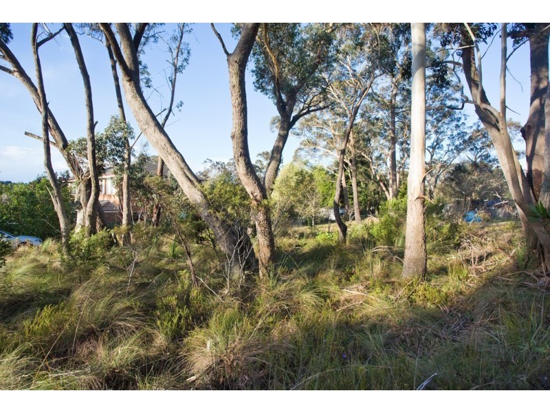 116 Evans Lookout Road, Blackheath NSW 2785