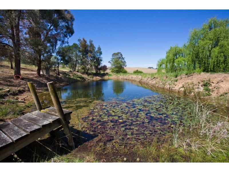 81 Cranbrook Park Road, Little Hartley NSW 2790