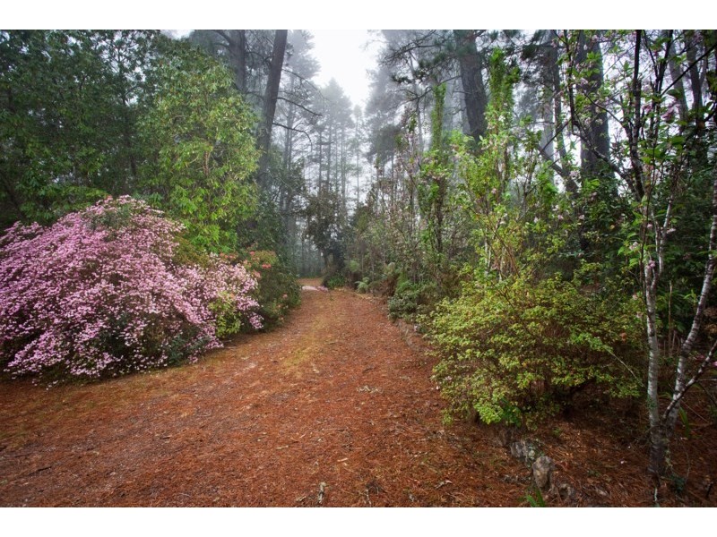 9 Prince Edward Street, Blackheath NSW 2785