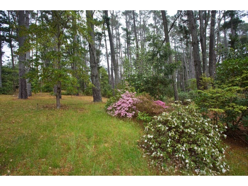 9 Prince Edward Street, Blackheath NSW 2785