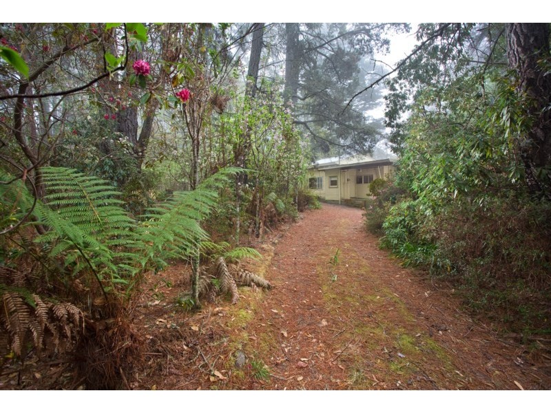 9 Prince Edward Street, Blackheath NSW 2785