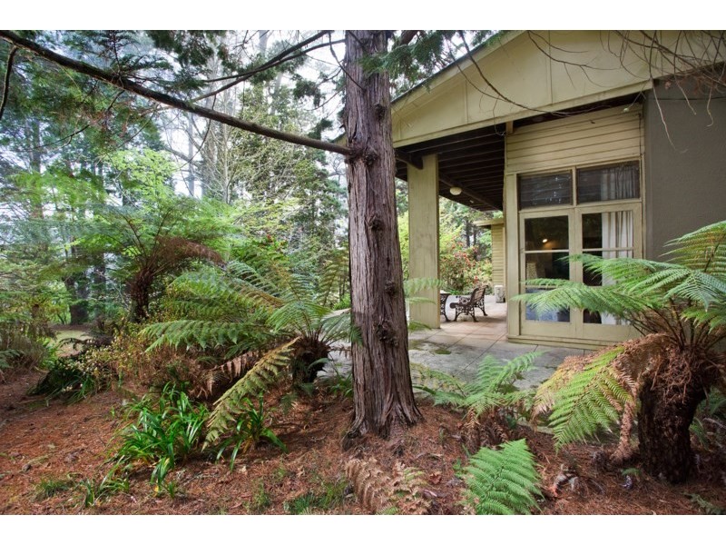 9 Prince Edward Street, Blackheath NSW 2785