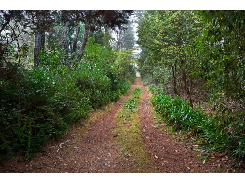 9 Prince Edward Street, Blackheath NSW 2785