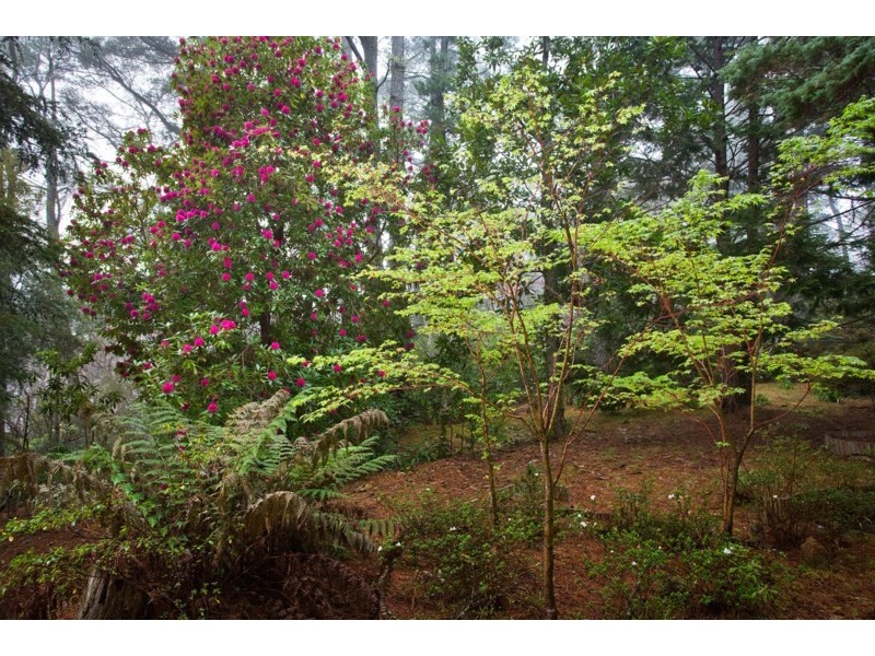 9 Prince Edward Street, Blackheath NSW 2785