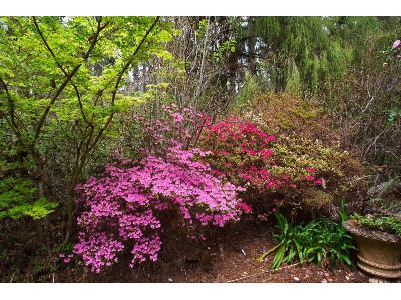 9 Prince Edward Street, Blackheath NSW 2785