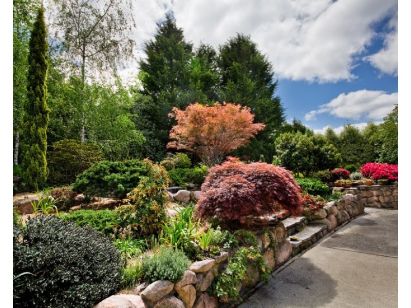 22 Mount York Road, Mount Victoria NSW 2786