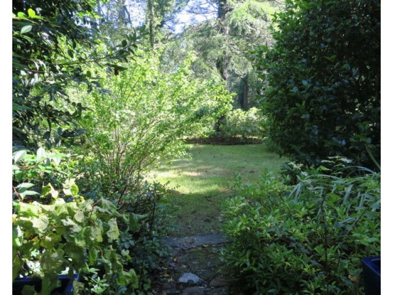 8 Brentwood Avenue, Blackheath NSW 2785