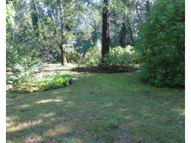 8 Brentwood Avenue, Blackheath NSW 2785