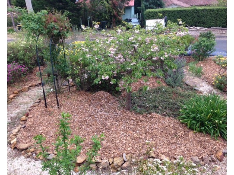 85 Godson Avenue, Blackheath NSW 2785