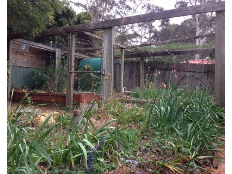 85 Godson Avenue, Blackheath NSW 2785